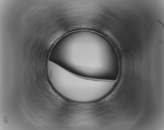 X0000101670977200807101045
