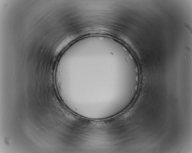X0000101670978200807101045