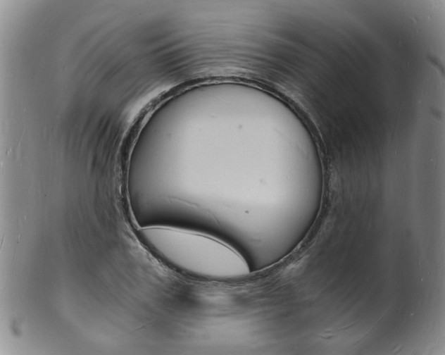 X0000101670979200807101045