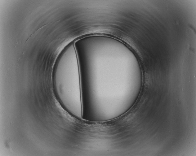 X0000101670980200807101045