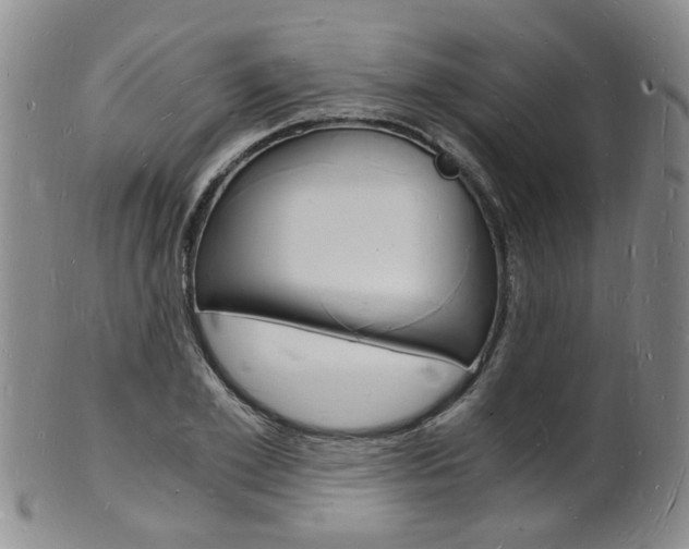 X0000101670981200807101045