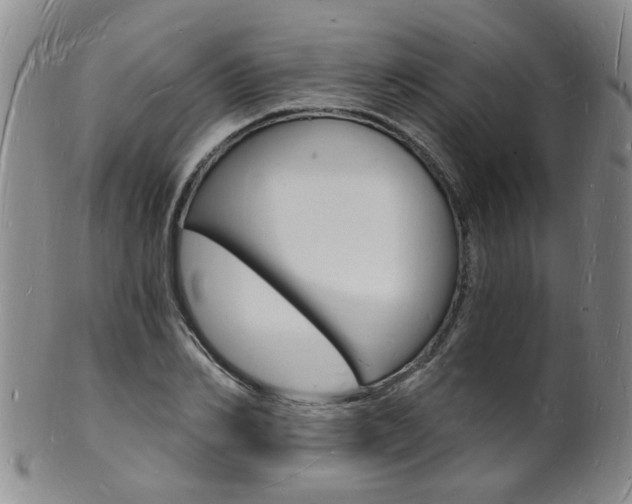 X0000101670982200807101045