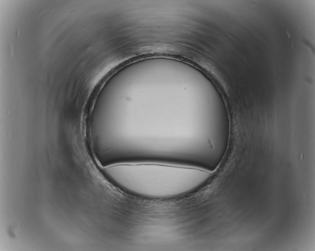 X0000101670983200807101045