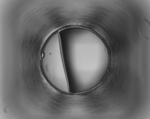X0000101670984200807101045