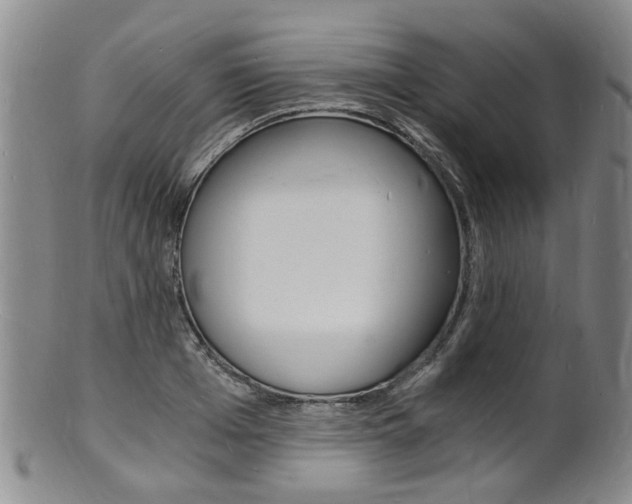 X0000101670985200807101045