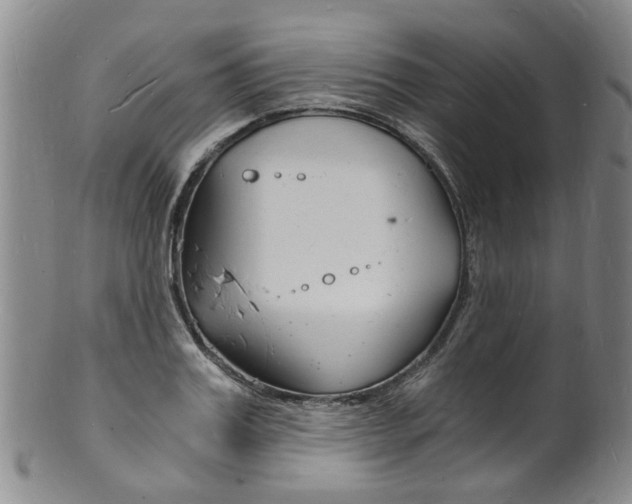 X0000101670987200807101045