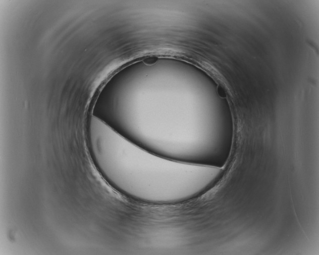 X0000101670989200807101045