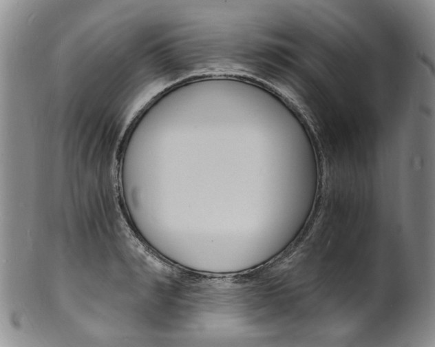 X0000101670990200807101045