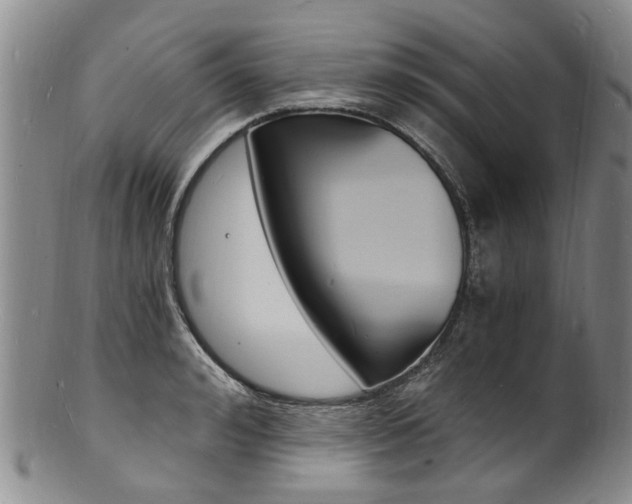 X0000101670992200807101045