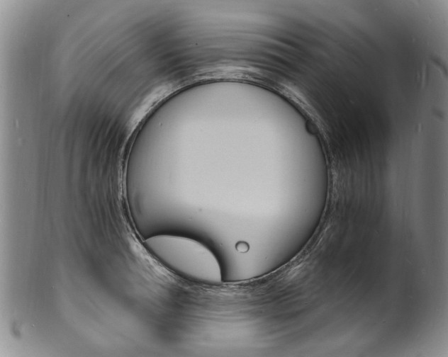 X0000101670994200807101045