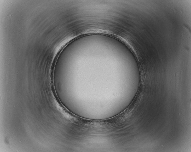 X0000101670995200807101045
