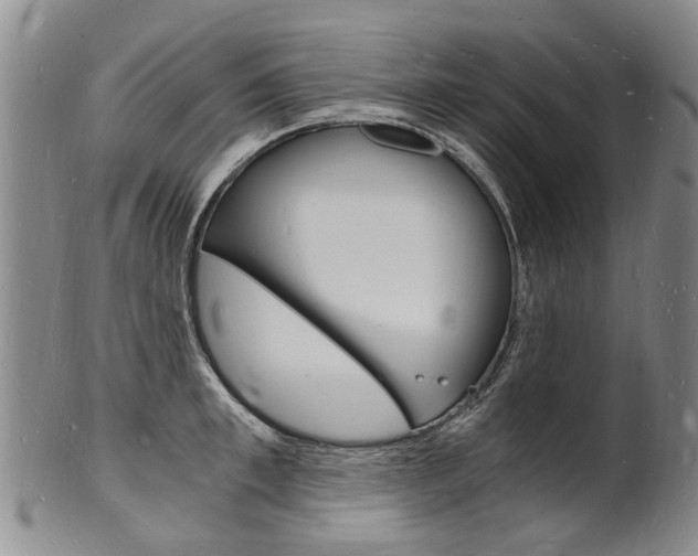 X0000101670997200807101045