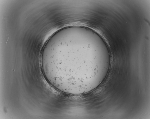 X0000101670998200807101045