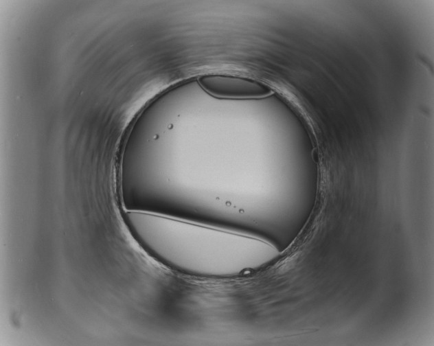 X0000101670999200807101045