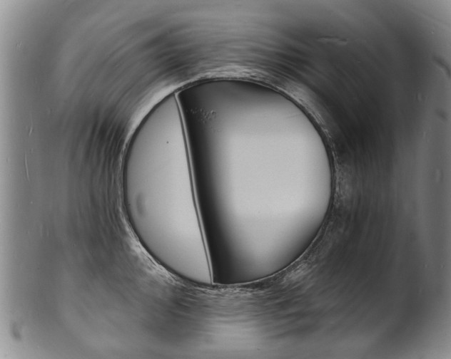 X0000101671000200807101045