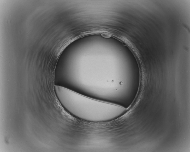 X0000101671001200807101045