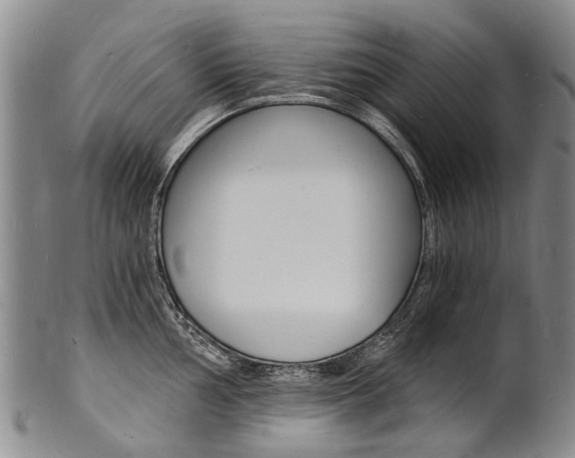 X0000101671002200807101045