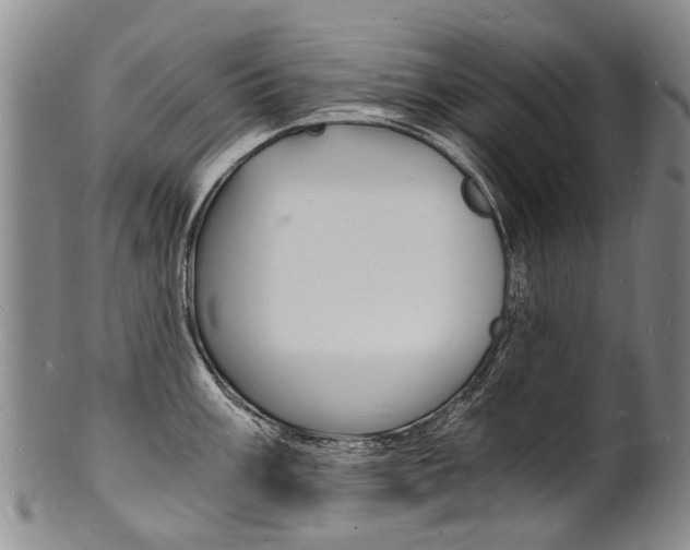 X0000101671003200807101045