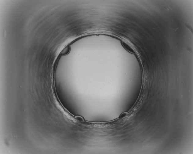 X0000101671005200807101045