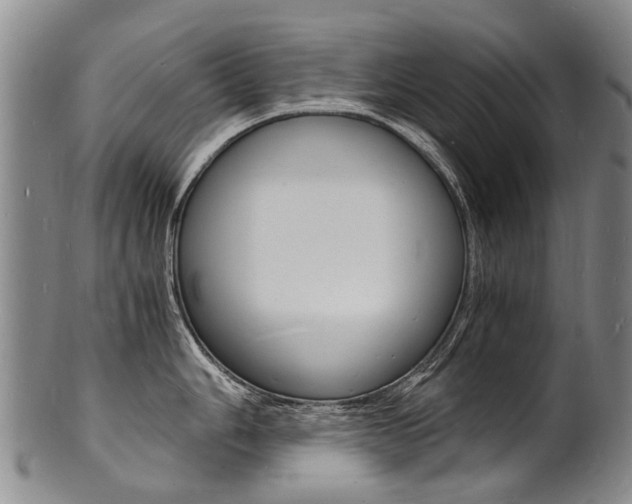 X0000101671006200807101045