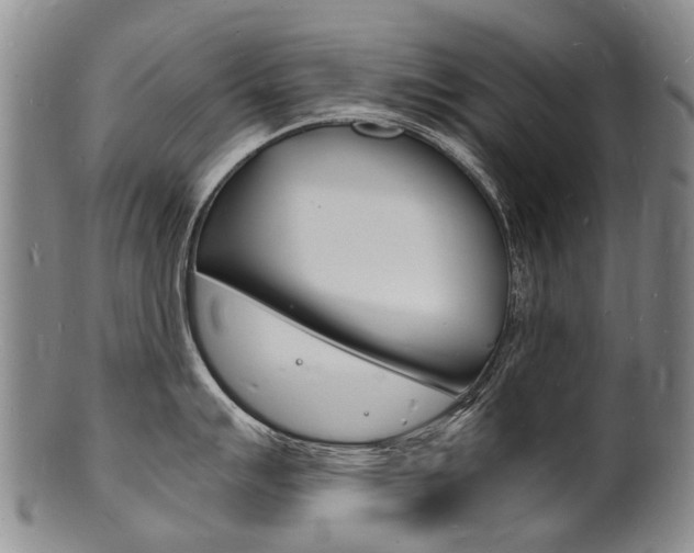 X0000101671007200807101045