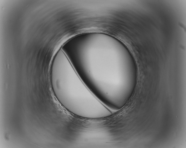 X0000101671008200807101045