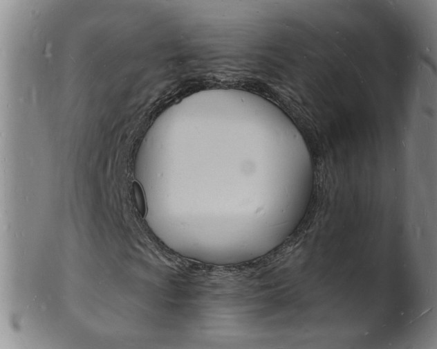 X0000101671009200807101044