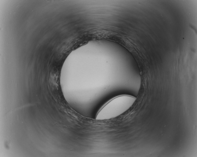 X0000101671010200807101044
