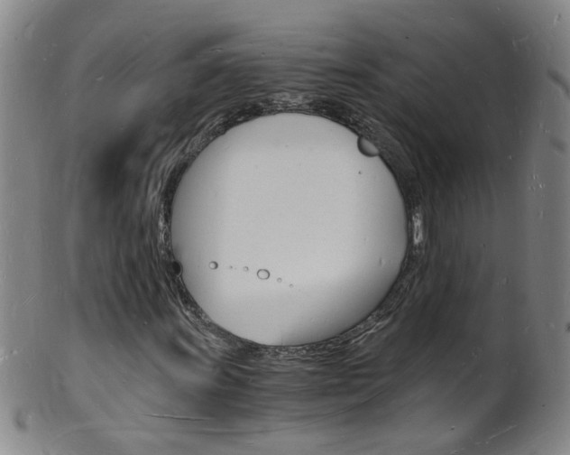 X0000101671011200807101044