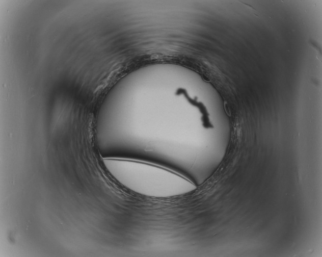 X0000101671012200807101044
