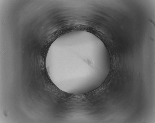 X0000101671013200807101044