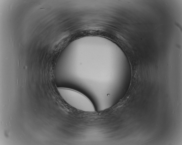 X0000101671014200807101044