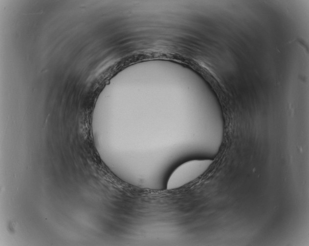 X0000101671015200807101044