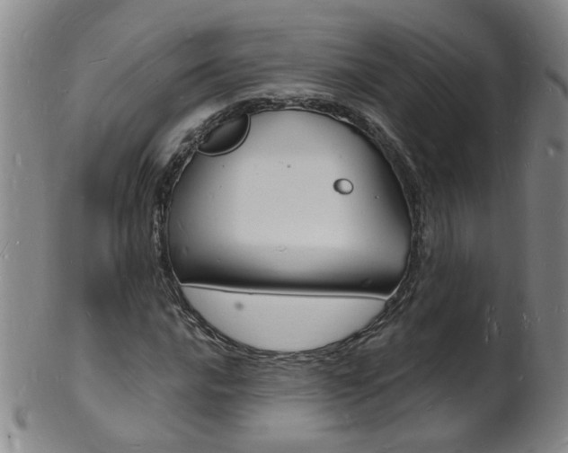 X0000101671016200807101044