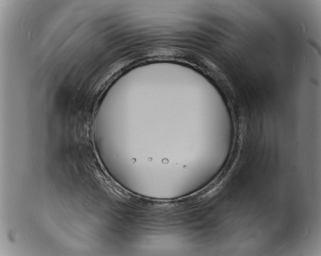 X0000101671017200807101044
