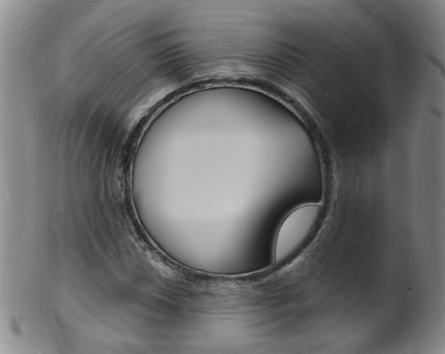 X0000101671018200807101044