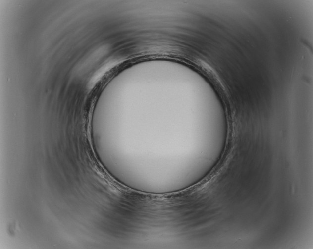 X0000101671019200807101044