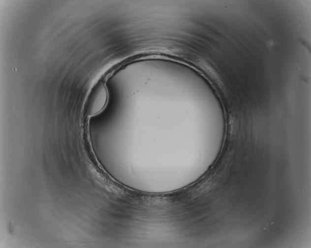 X0000101671020200807101044