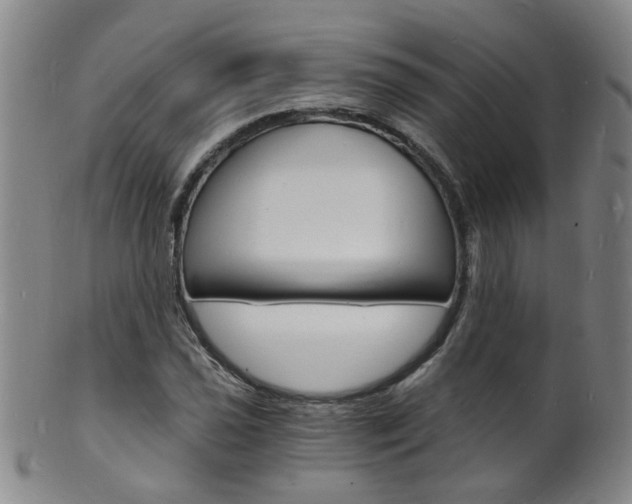 X0000101671021200807101044