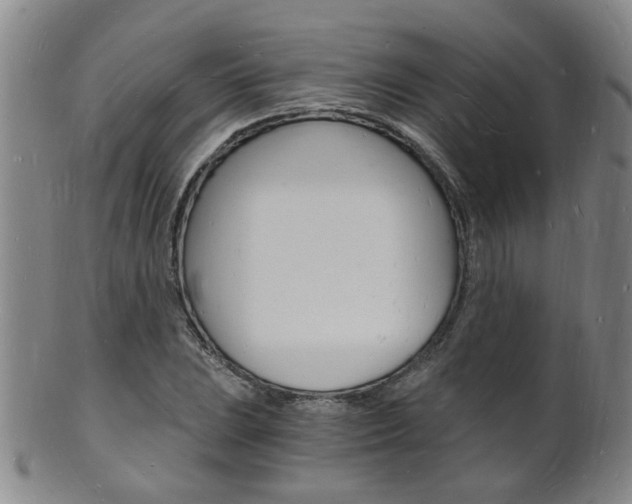 X0000101671023200807101044