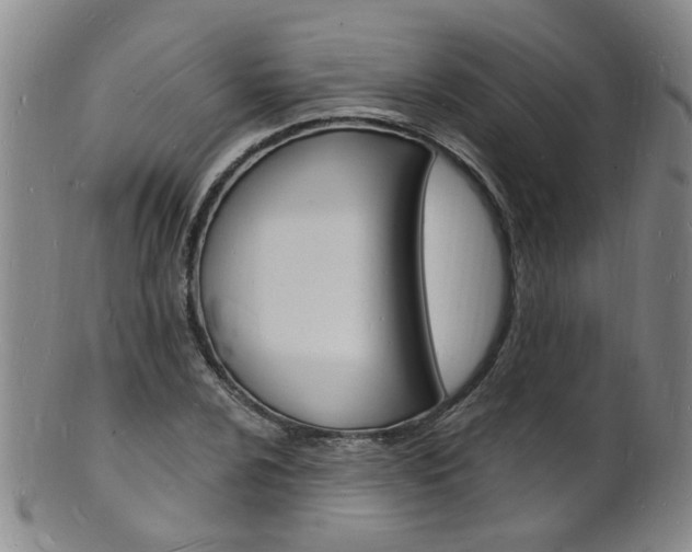 X0000101671024200807101044