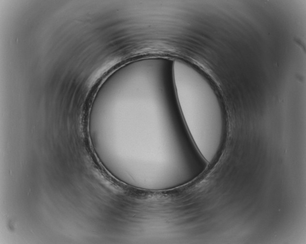 X0000101671026200807101044