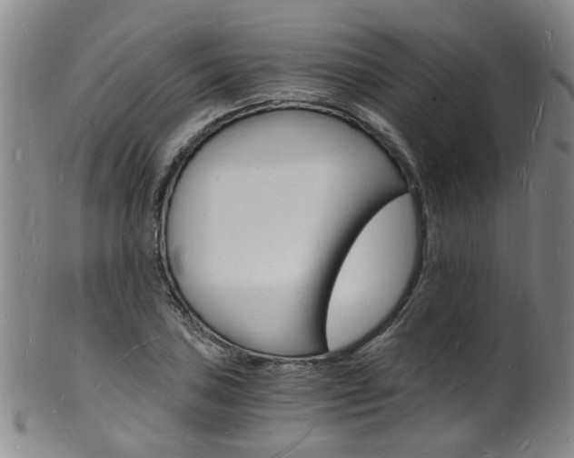 X0000101671027200807101044