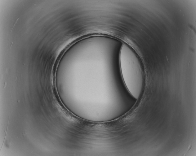 X0000101671028200807101044
