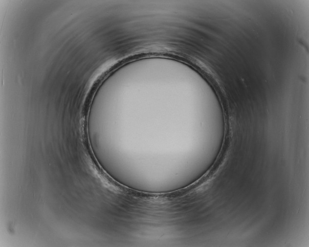 X0000101671029200807101044