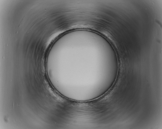 X0000101671030200807101044