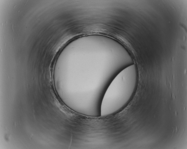 X0000101671031200807101044