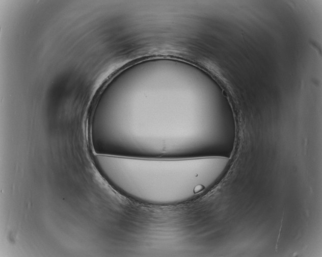 X0000101671032200807101044