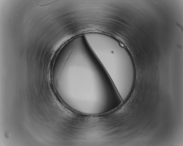X0000101671034200807101044