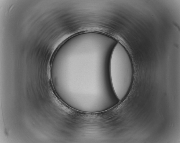 X0000101671036200807101044